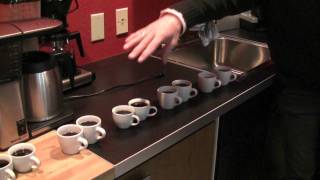 Blind Taste Test Technivorm vs Bonavita Coffee Makers [upl. by Odlanor]