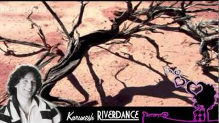 Karunesh Riverdance [upl. by Vaenfila]