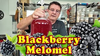 Blackberry Mead  Blackberry Melomel  My First Mead [upl. by Eniamat763]