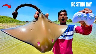 RC Stingray Under Water Fastest Fish Unboxing amp Testing  Chatpat toy tv [upl. by Elleined]