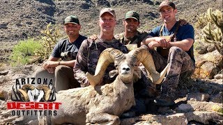 2017 AZ Super Raffle Desert Bighorn Sheep Hunt with Arizona Desert Outfitters [upl. by Alset459]