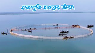 সিলেটের হাকালুকি হাওরের জীবন  Lifestyle at Hakaluki Haor in Sylhet [upl. by Eeuqram427]