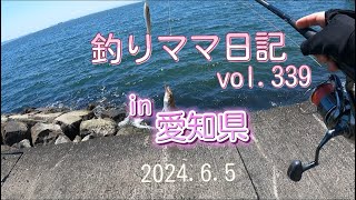 釣りママ日記vol339愛知県蒲郡市 [upl. by Leilani]