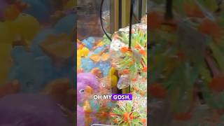 Claw Machine Surprise 🤯 [upl. by Maltzman507]