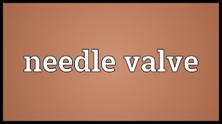 Needle valve Meaning [upl. by Ayekahs493]