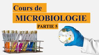 cours de microbiologie partie 5  la taxonomie bactérienne  nomenclature des microorganismes [upl. by Eilla]