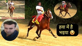 LALBADSHAH HORSE WINNER BHADARI 2018 OWNER GHAUS KHAN SAWAR GOLU [upl. by Esinet]