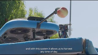 The Future of Harvesting FruitPicking Flying Autonomous Robots™ by Tevel  HMC Farms Success Story [upl. by Jacqueline]