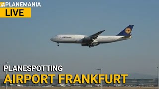 Airport Frankfurt Samstag LIVE Planespotting Landungen auf der 25L mit ExpertenChat [upl. by Aicnelav755]