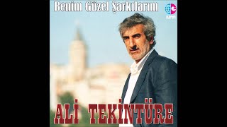 ALİ TEKİNTÜRE  BAHARI BEKLEYEN KUMRULAR GİB [upl. by Aenert349]