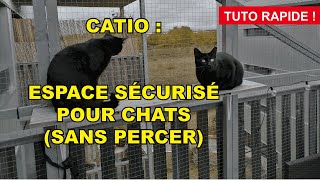 Catio  espace sécurisé pour chats sans percer [upl. by Htieh]