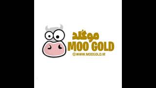 ABOL MOOGOLD Live Stream [upl. by Kolosick]