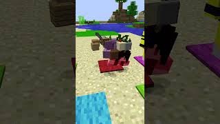 minecraft doğruyu seç challenge shorts [upl. by Monroe312]