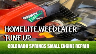 Homelite Weed Eater Wont Start [upl. by Asp801]