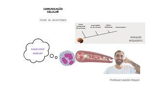 Farmacologia Farmacodinâmica tipos de receptores [upl. by Jerz]