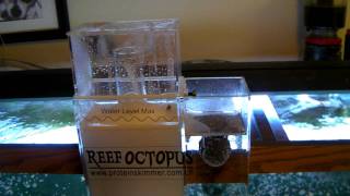 Reef Octopus 1000 Hang on the Back Protein skimmer BH1000  Review [upl. by Asin761]