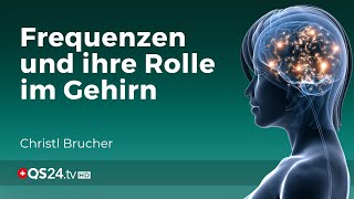 Das Geheimnis der Gehirnfrequenzen  Erfahrungsmedizin  QS24 Gesundheitsfernsehen [upl. by Rudwik322]