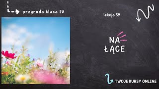 Przyroda klasa 4 Lekcja 39  Na łące [upl. by Neitsirk]