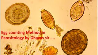 Egg counting method in Parasitology by Ghayas sir [upl. by Ati53]