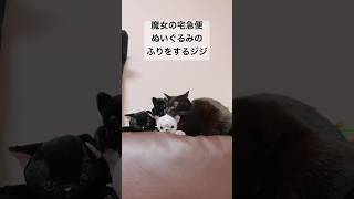 魔女の宅急便のあのシーンごっこ 黒猫 猫のいる暮らし cat [upl. by Pasahow]