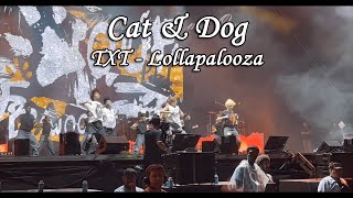 20240805 TXT  Cat amp Dog II Lollapalooza [upl. by Dranyer]