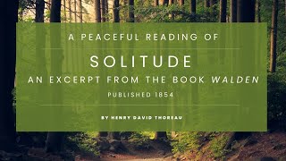 Solitude  Short Reading from the Classic Book Walden by Henry David Thoreau  Audio Book Narrated [upl. by Ledah809]