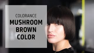 Deep Mushroom Brown Hair Coloring Technique  Colorance  Goldwell Education Plus [upl. by Aihcats]