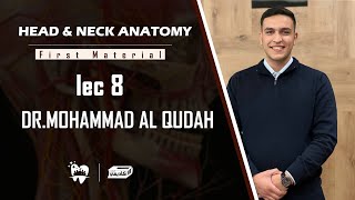 Head amp Neck Anatomy ll lec 8 ll by Mohammad Atef Alqudah [upl. by Monroe25]