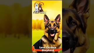 German Shepherd OWNERS Are Doing It WRONG Fix This One Thing [upl. by Leuqcar]