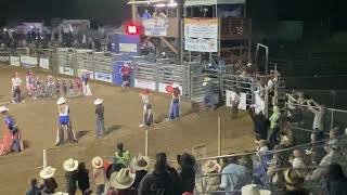 2024 Poway Rodeo Mutton Busting Kids Riding Sheep [upl. by Anail]