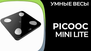 Умные весы Picooc Mini Lite [upl. by Aylmar652]