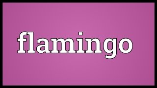 Flamingo Meaning [upl. by Ert613]