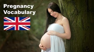 Pregnancy Vocabulary  English Like A Native [upl. by Eadmund]