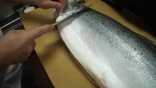 How To Fillet a Whole Salmon  How To Make Sushi Series [upl. by Eenram]