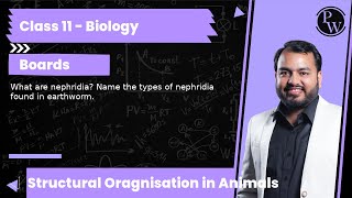 What are nephridia Name the types of nephridia found in earthworm [upl. by Fanestil]