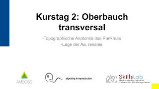 Vorklinischer Sonographie Kurs 2 Oberbauch transversal [upl. by Chen]