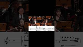 Tchaikovsky Symphony No6 1st Mov clarinet excerpts clarinetshorts [upl. by Anilocin573]