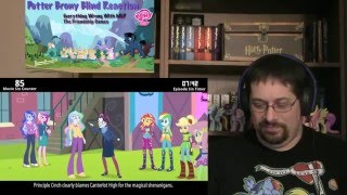 PotterBrony Blind Reaction Littleshyfim Everything Wrong With Friendship Games [upl. by Aibonez460]