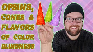 The Cones  Types of Colorblindness [upl. by Beard]