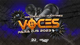 Voces para Djs Pack 2023 Locutor Waldemaro Martinez  Aportes Dj Alexis Delgado [upl. by Ebenezer]