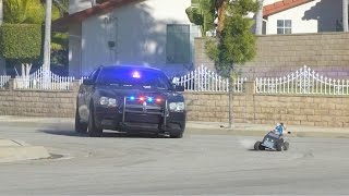 Cat Cop Chase  Aarons Animals [upl. by Nalid]