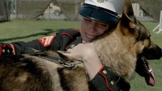 What Happened To Megan Leavey amp Rex In Real Life After The 2017 Movie videos video [upl. by Amluz]