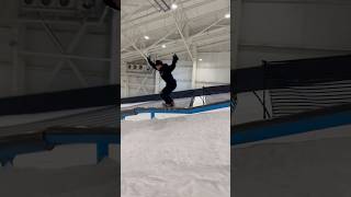 Snowboarding Everyday Until One Of Us Gets Rich ft Brian Balico [upl. by Arrek]