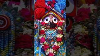 Hau se daru hau se duba odiaJagannath song 🙏🙏🙏WhatsAppstatus 👍like and subscribe [upl. by Tiras]