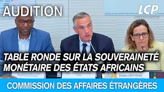 Table ronde sur la souveraineté monétaire des États africains et le devenir du franc CFA [upl. by Camm]