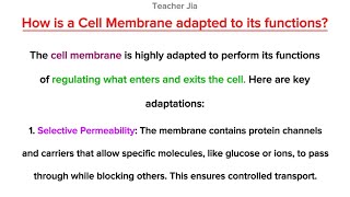 HOW IS A CELL MEMBRANE ADAPTED TO ITS FUNCTIONS [upl. by Milty]