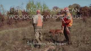 Pure Michigan Hunting the American Woodcock and Grouse [upl. by Immij]