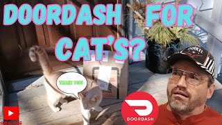 Animals Ordering DOORDASH doordash spark gigwork [upl. by Christianson]