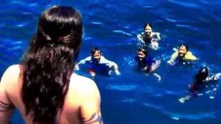 50 First Dates Diving Scene [upl. by Trin]