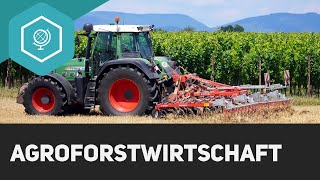 Agroforstwirtschaft [upl. by Jimmy]